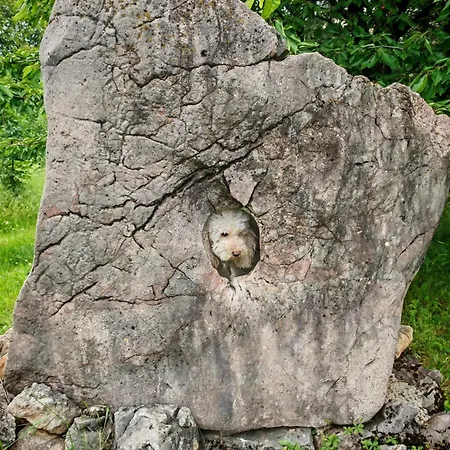 La Magaza Banja Vrujci Vikendica Berkovac