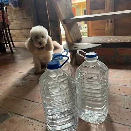 La Magaza Banja Vrujci Berkovac