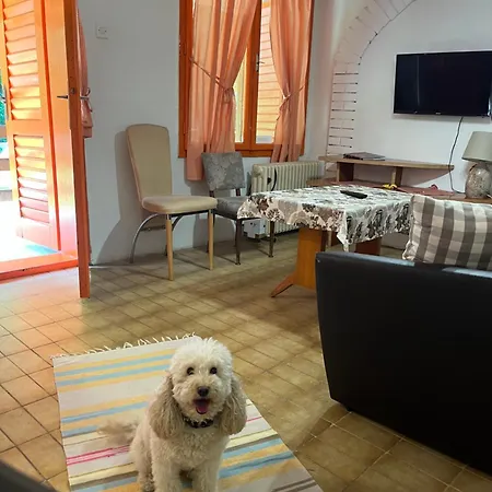 La Magaza Banja Vrujci * Berkovac