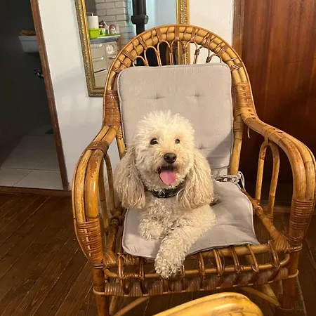 La Magaza Banja Vrujci * Berkovac